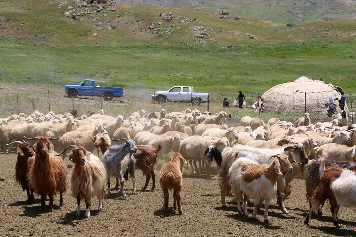 پیام آذری