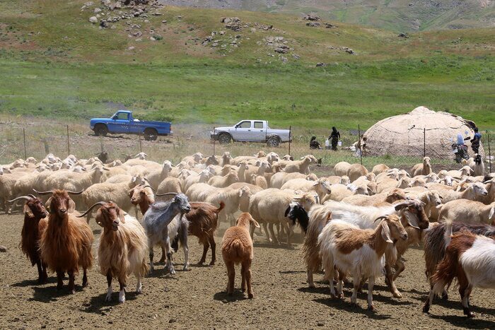 هشدار به عشایر اردبیل برای خروج از ارتفاعات و مسیل‌ها