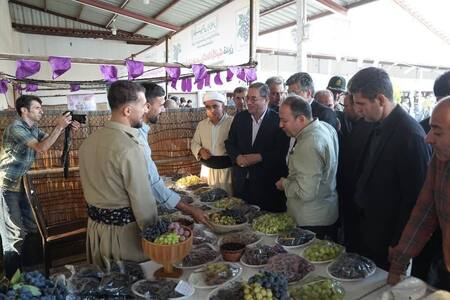 پیام آذری