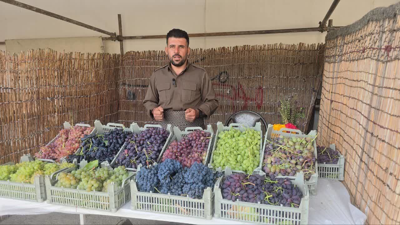 برگزاری جشنواره انگور سیاه در میرآباد با ۲۰ غرفه