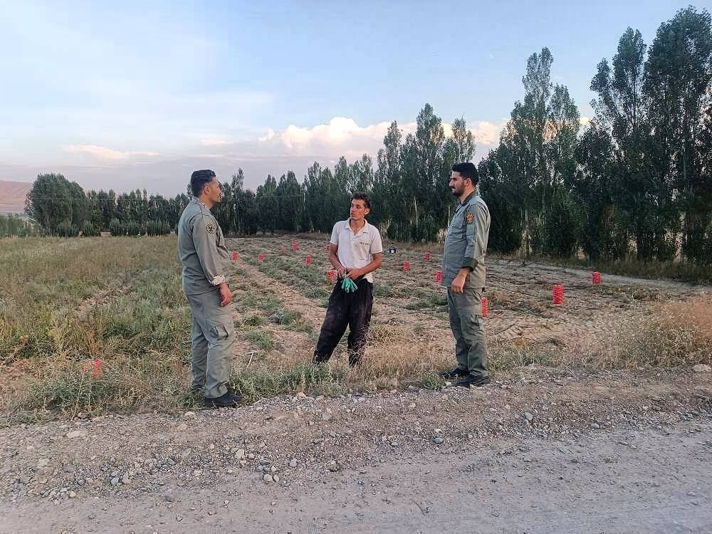 پیام آذری