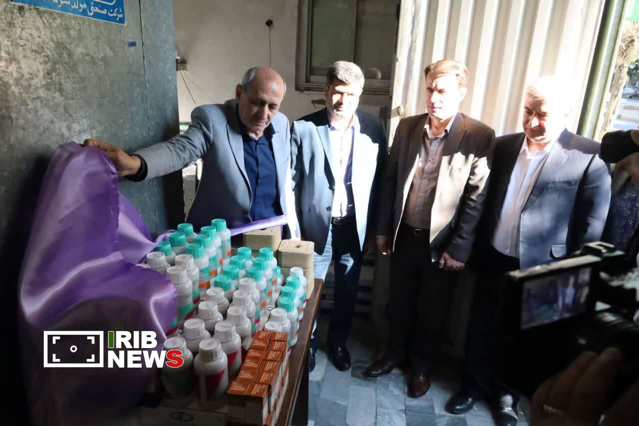 طرح جهش تولید برای ۷۳۰ هزار رأس دام سبک در آذربایجان شرقی
