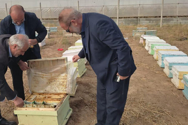 سرشماری سراسری زنبورستان‌های مرند از دوم آبان‌ماه