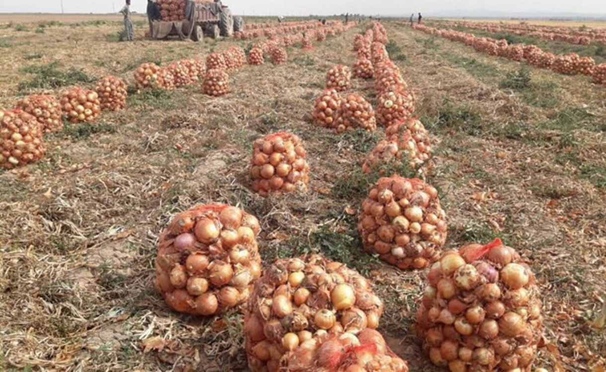 پیام آذری