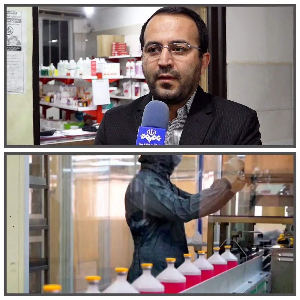 ایمن سازی ۱۷ میلیون نوبت - راس  دام در آذربایجان غربی