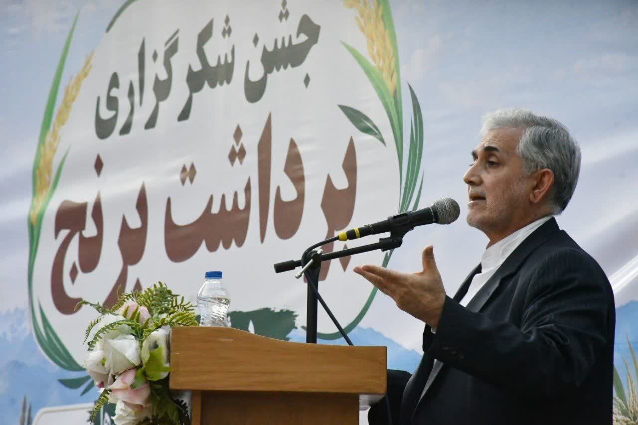 گردش مالی ۵ همتی برنج میانه؛ ضرورت سرمایه‌گذاری در صنایع تبدیلی