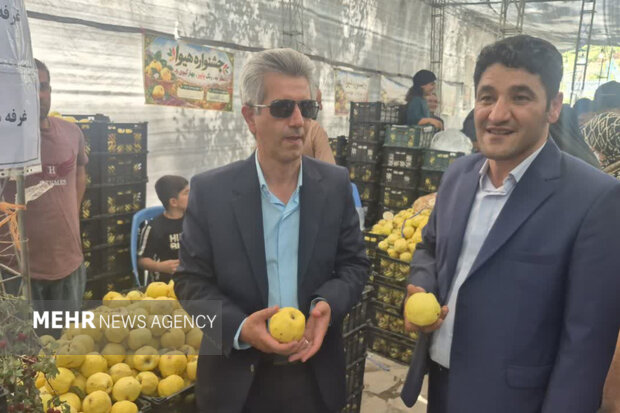 پیام آذری