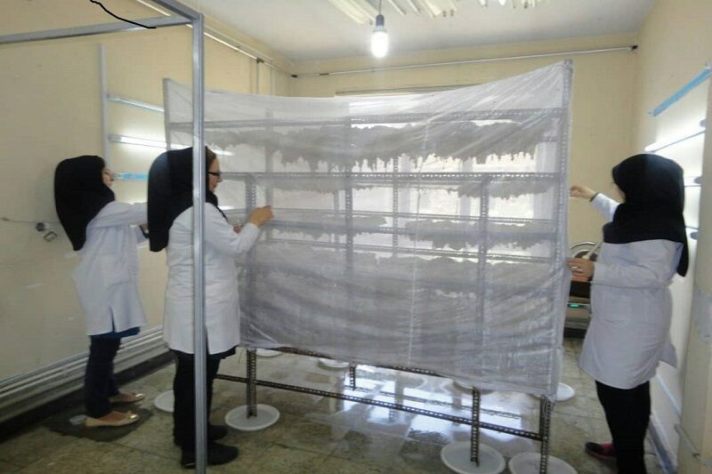 پیام آذری