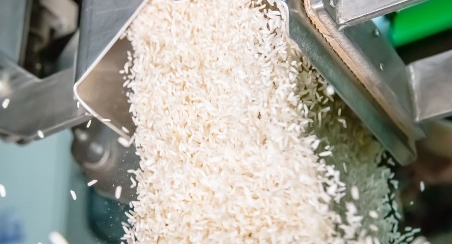 جریمه ۵۰۰ میلیون تومانی گرانفروشی تبدیل شلتوک به برنج در شفت