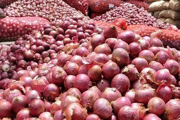 صادرات پیاز فارس به ۱۵۰ تن در هفته محدود شد