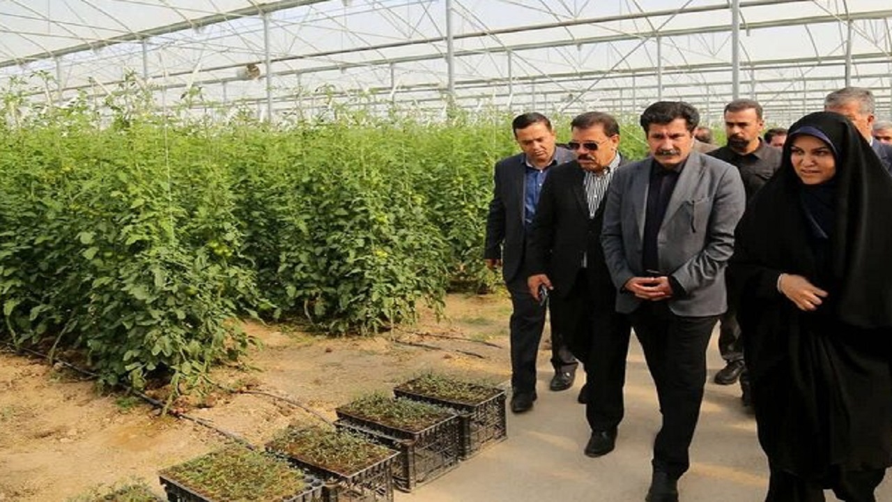 پیام آذری